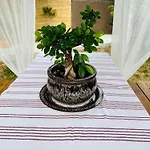 La Mosie بيت ضيافة 3*
