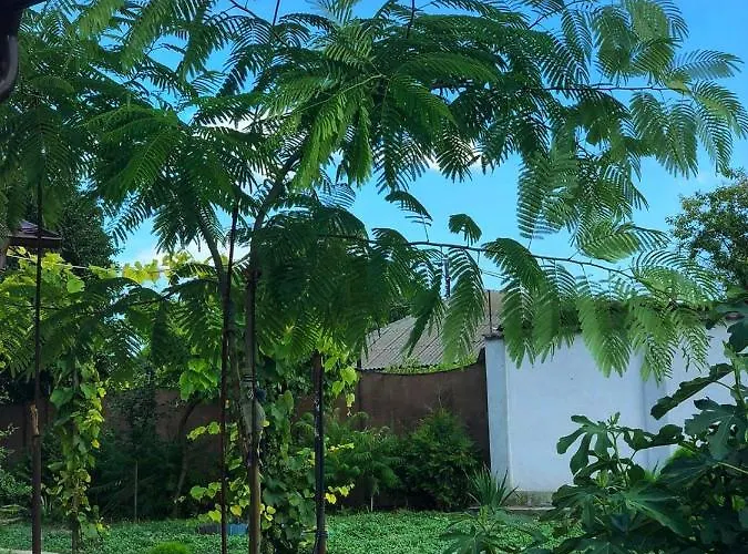 Vendégház La Mosie Corbu