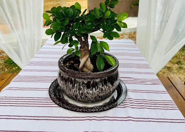 La Mosie Vendégház 3*